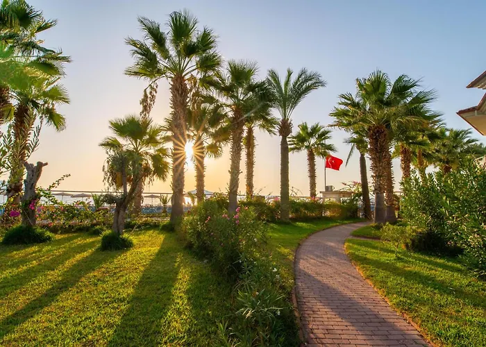 Sunset Aqua Lettings *